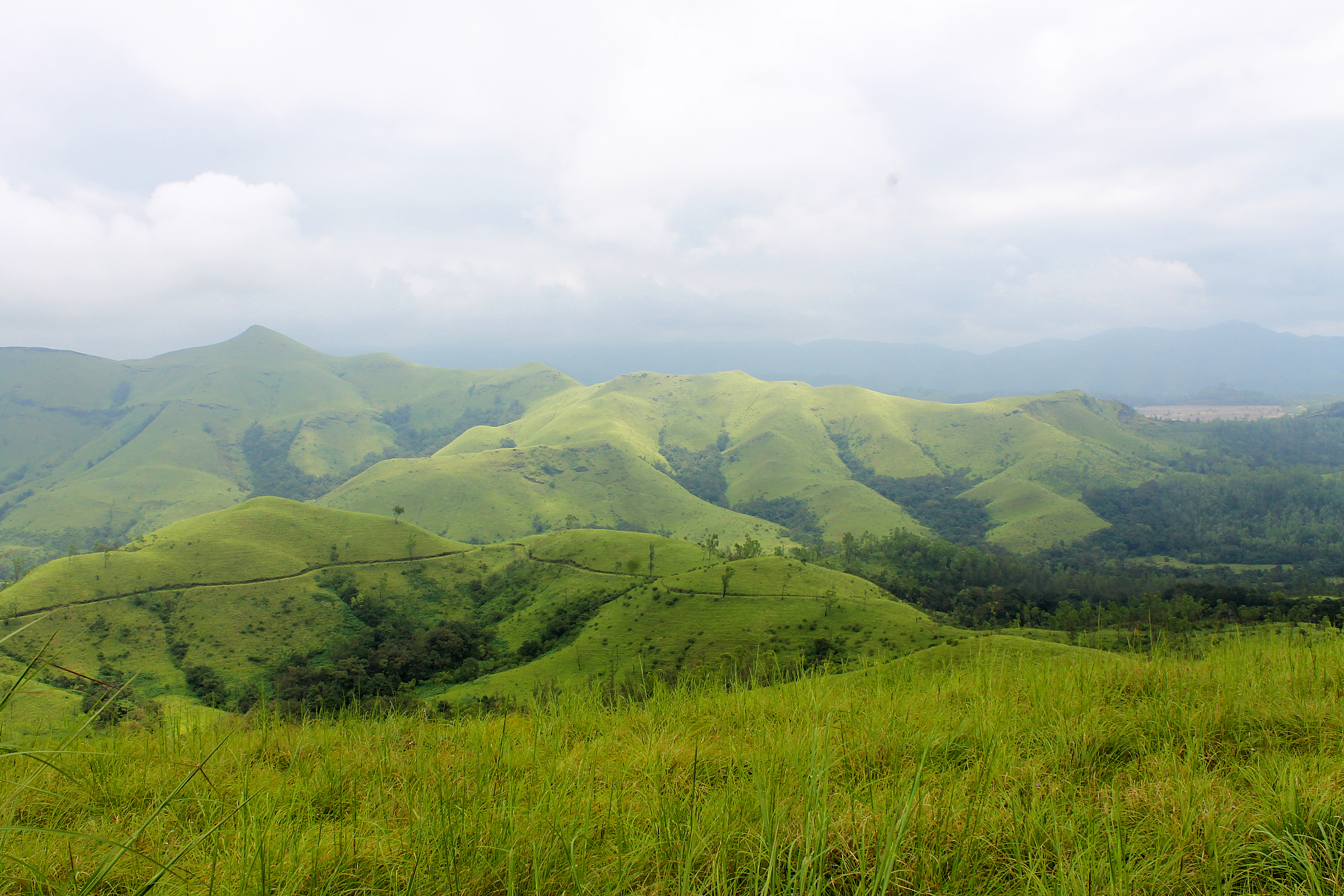 Mist rolling over the shola grasslands of Kudremukh, Western Ghats